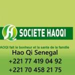 Hao Qi Senegal