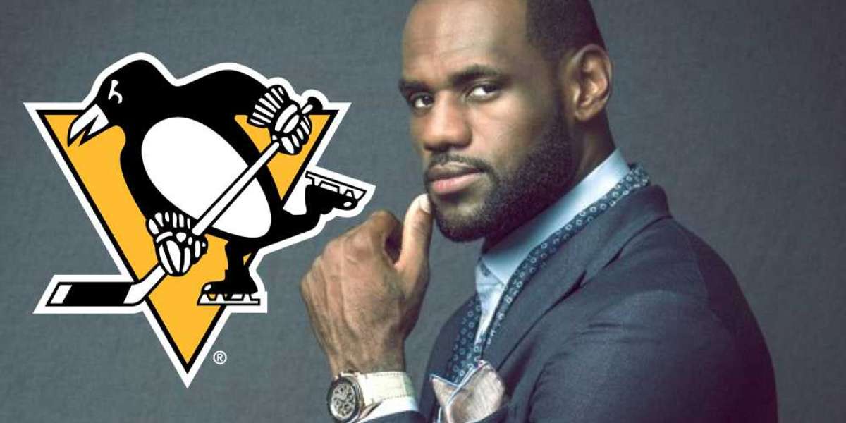 Lebron James veut acheter un club de hockey pour 500 milliards de Fcfa