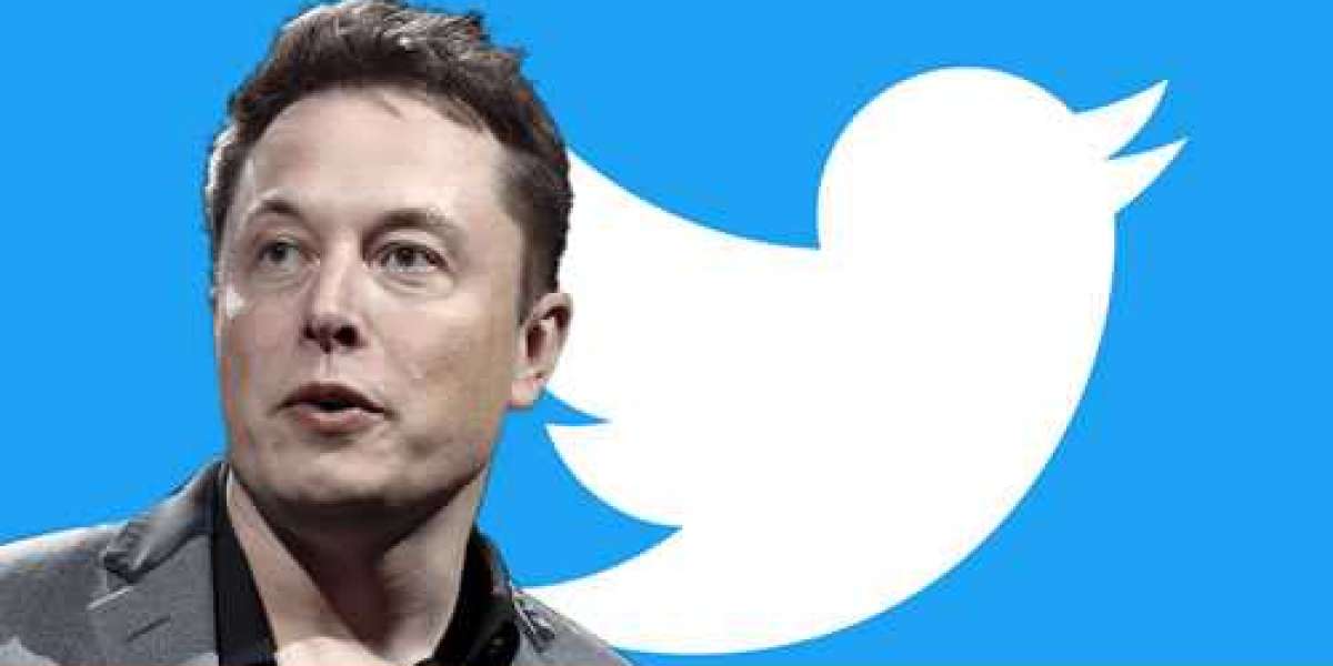 Elon Musk voulait lancer son propre réseau social avant l'achat de Twitter