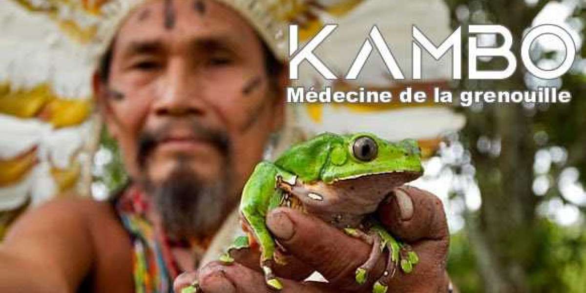 Le Kambo: Médicament ancestral fabriquée à partir de grenouilles venimeuses