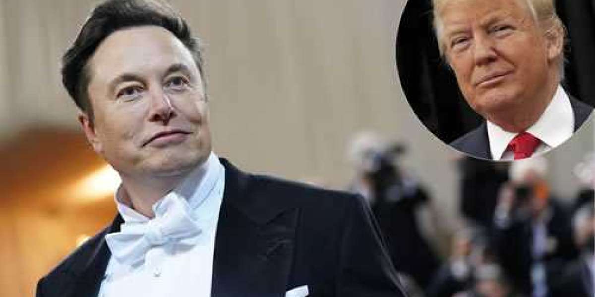 Elon Musk autoriserait le retour de Donald Trump sur Twitter