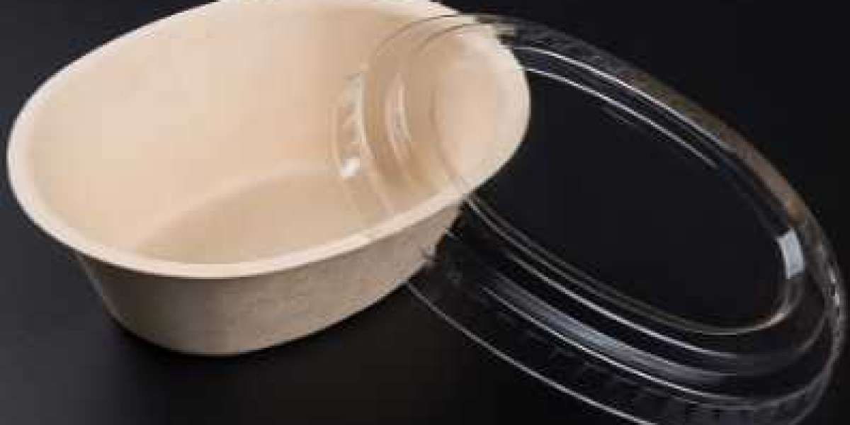 Innovative Clear PLA Lids Enhance Practicality of Sugarcane Containers