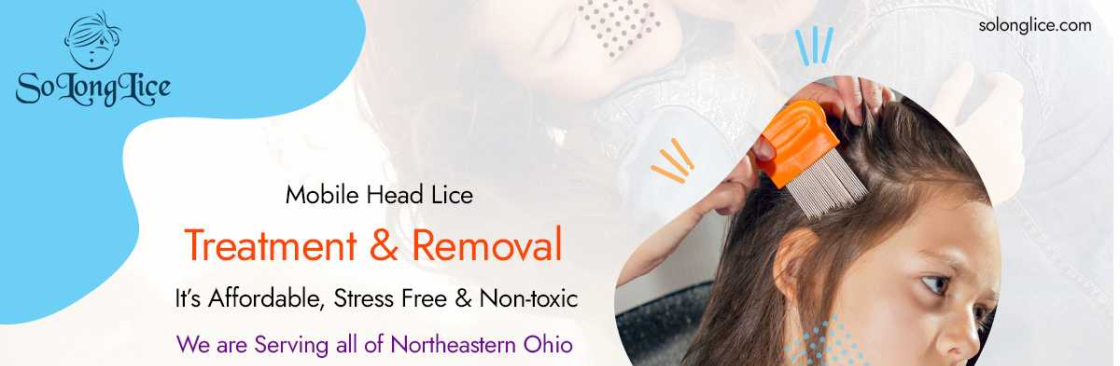 So Long Lice Cover Image