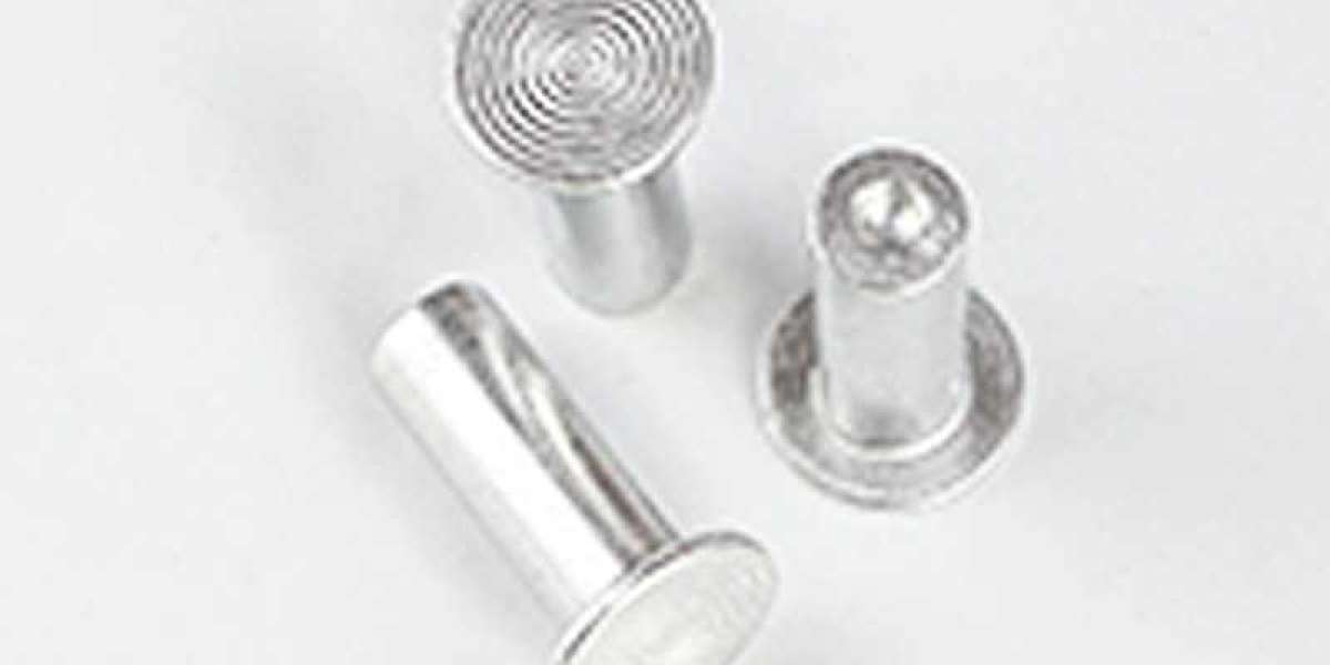 Solid Steel Rivets Factory – Versatile Riveting Solutions for Every Application