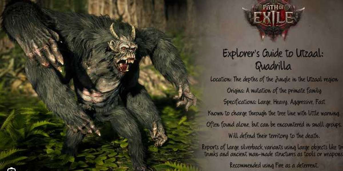Path of Exile 2: Major Patch Drops and What It Means for Early Access