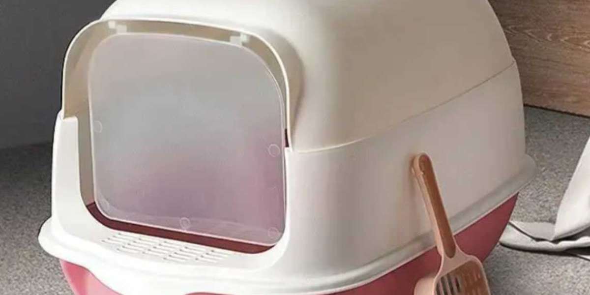 Is the Automatic Cleaning Cat Litter Box the Smartest Upgrade for Cat Owners?