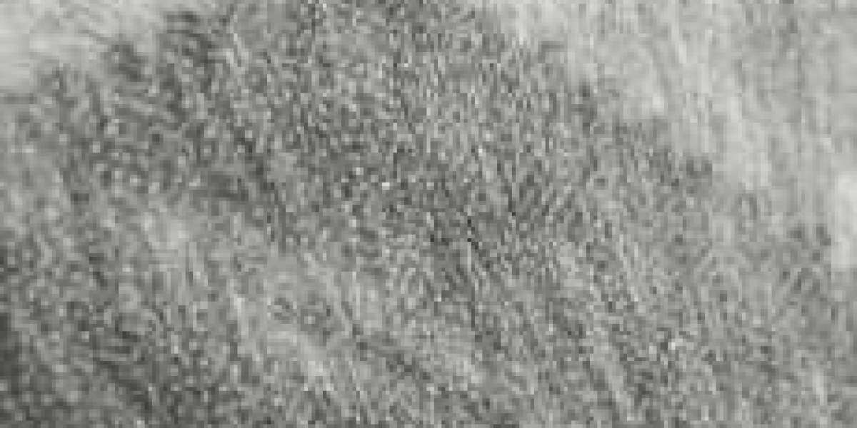 Product Description: Nylon Nonwoven Interlining Series 8