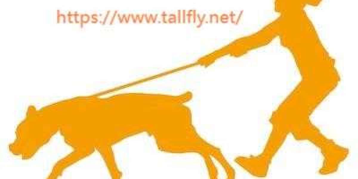 The Role of Dog Leash Factories in Shaping Safer Pet Products