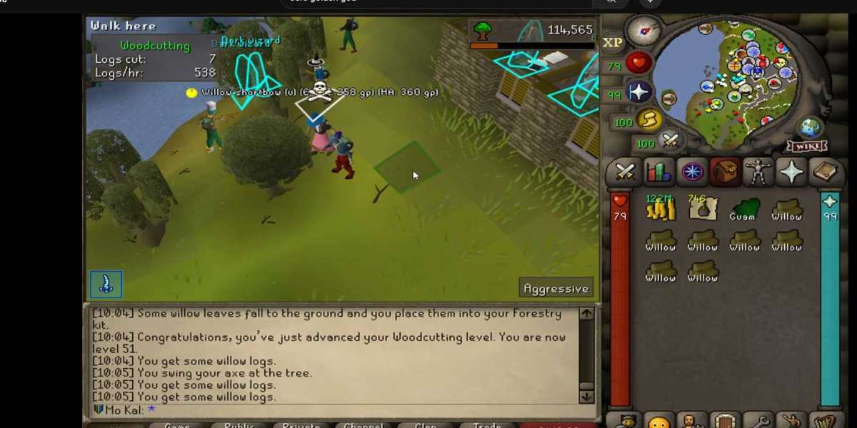 rsgoldfast Supports OSRS and RS3 Players 24/7
