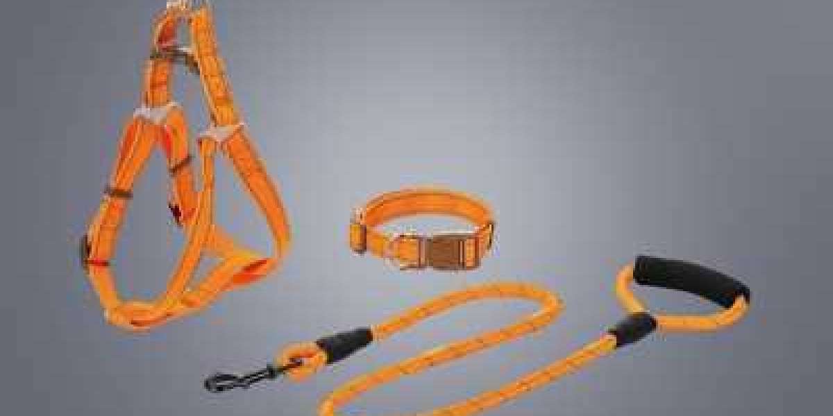 Why Nylon Dog Leashes Are the Easy-Clean Choice for Pet Owners?