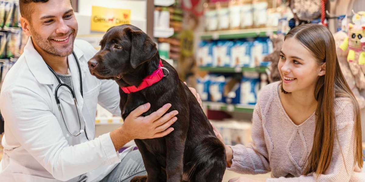 NexGard Without Vet Prescription