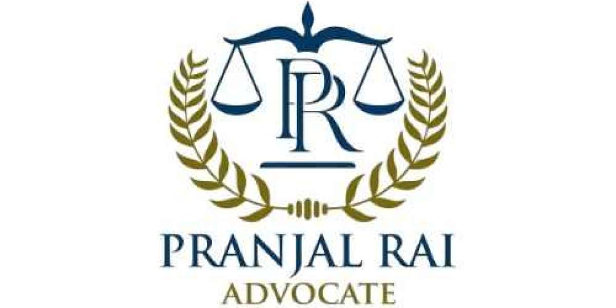 Best Legal Consultant – Adv Pranjal Rai | Trusted Legal Expertise for All Your Needs
