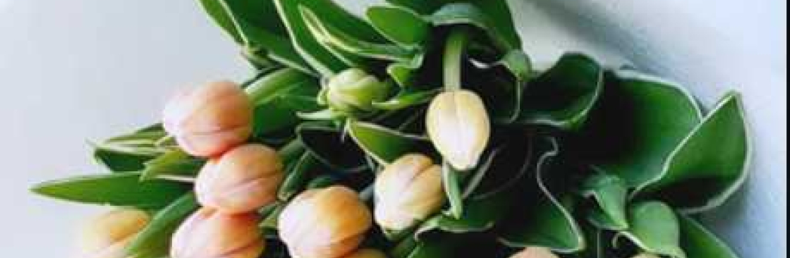 blossomby daisy Cover Image