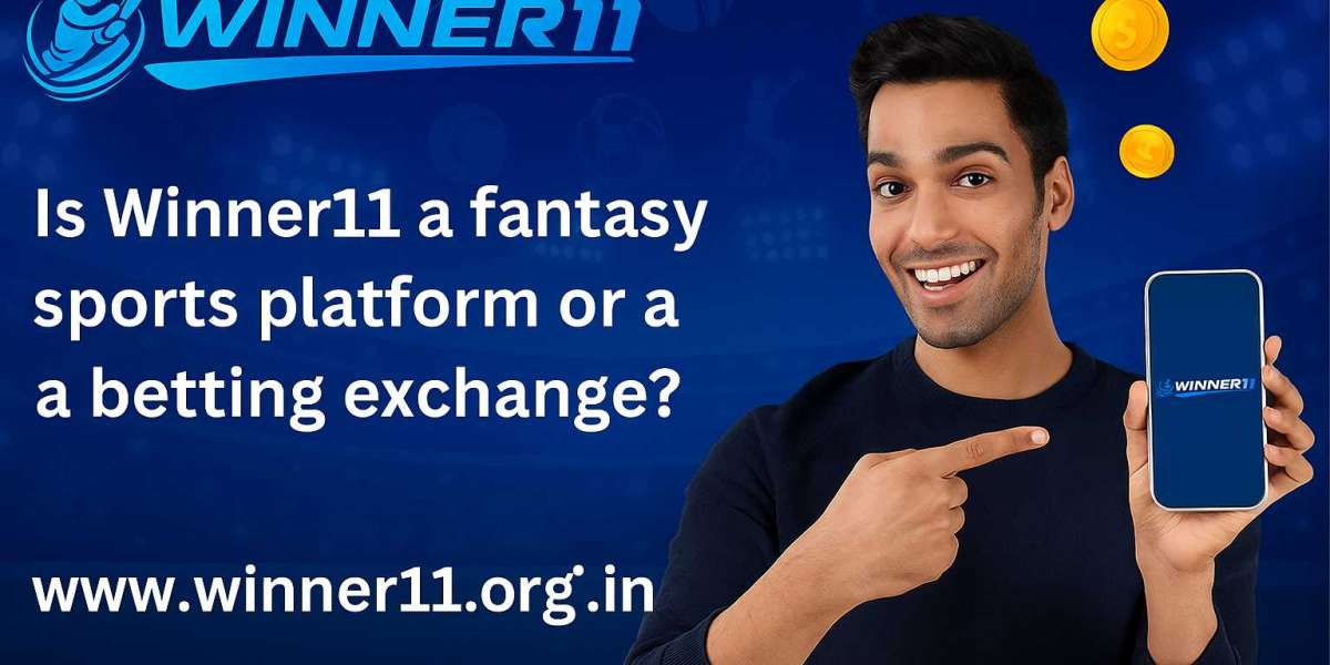 Is Winner11 a fantasy sports platform or a betting exchange?