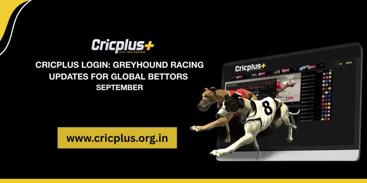 Cricplus login: Greyhound racing updates for global bettors September