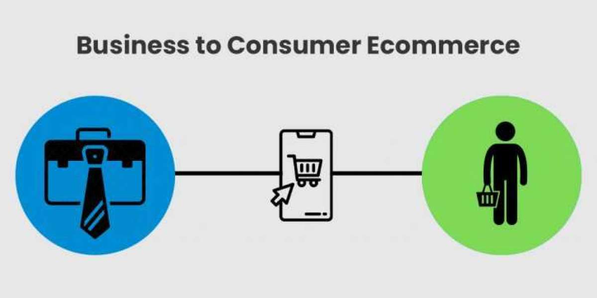 The Power of Personalization: How AI Is Redefining the Business-to-Consumer E-commerce Experience”