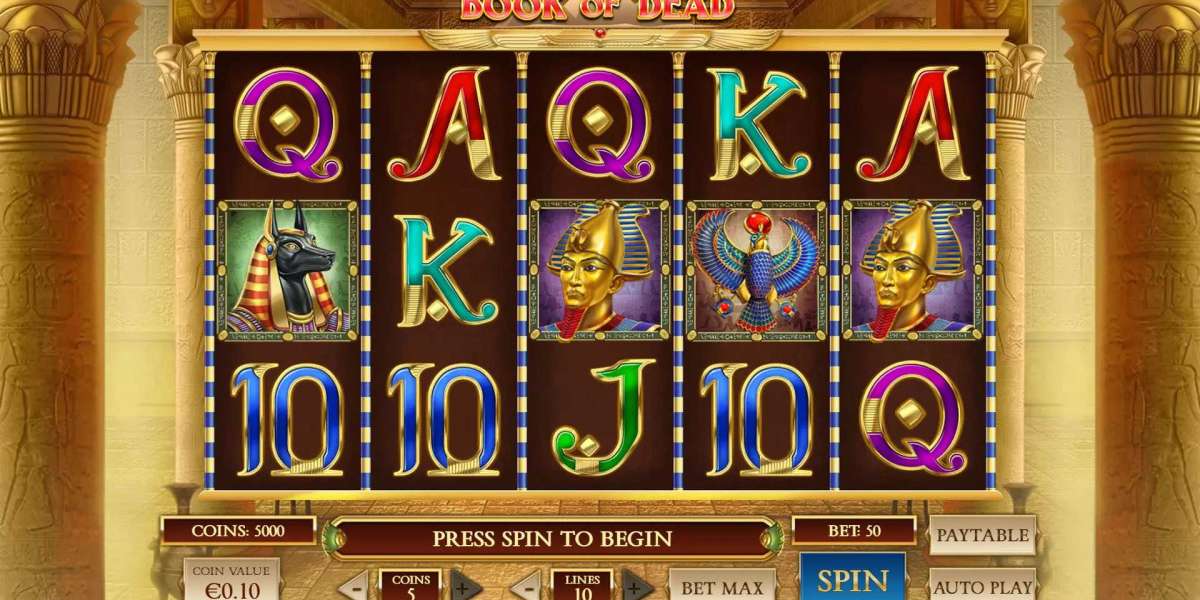 RTP und Volatilität im Book of Dead Spiel erklärt