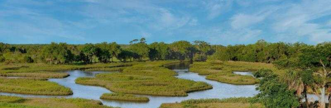 Lowcountry Vistas Cover Image