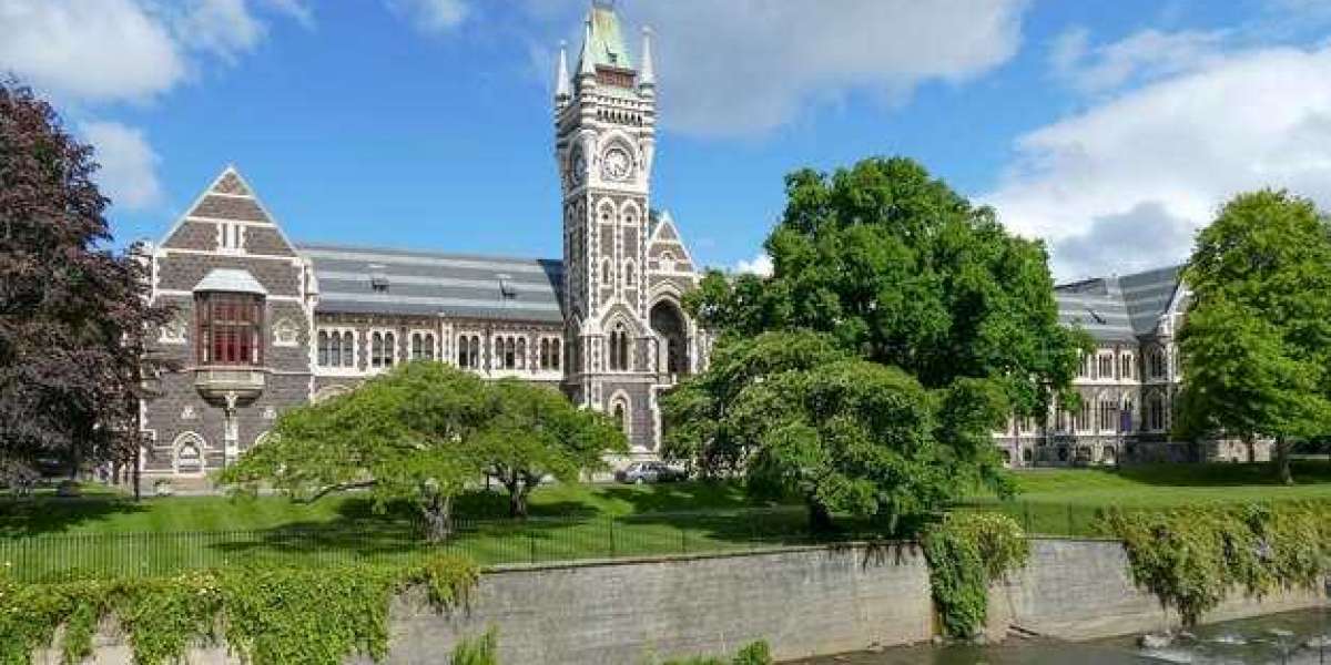 Study MBBS in Uzbekistan vs Other Abroad Destinations — What Makes It Stand Out?