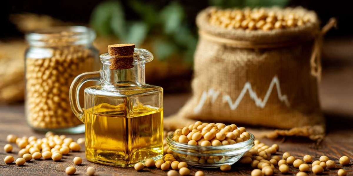 Soybean Oil Price Trend: Market Dynamics, Drivers, and Future Outlook