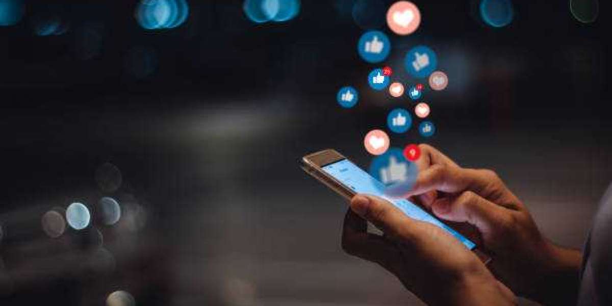 Professional Digital Marketing Agency in Laxmi Nagar