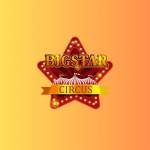 Big Star Circus profile picture