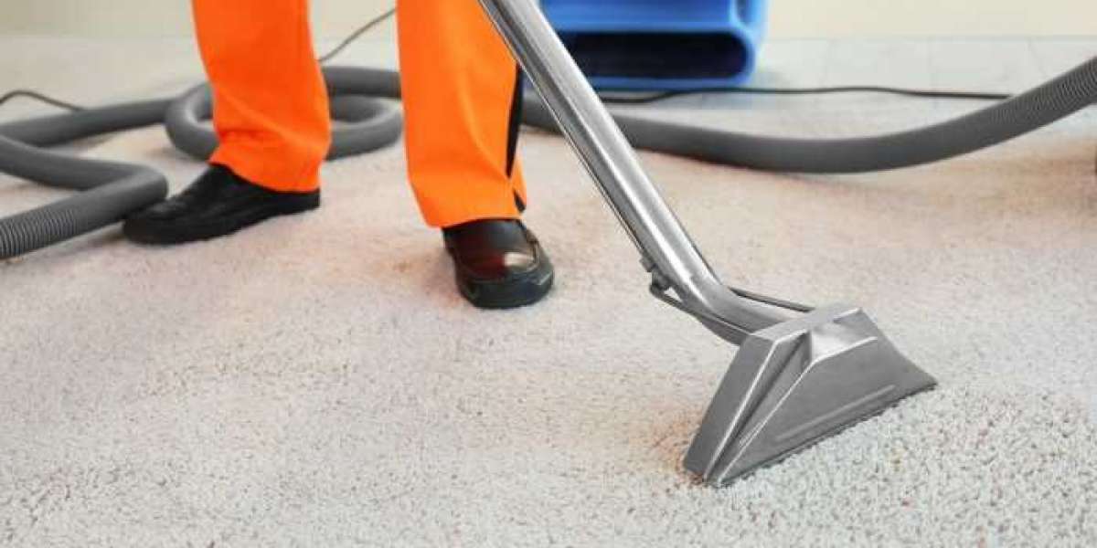 ﻿Why Regular Carpet Cleaning Services Are Essential for a Healthy Home