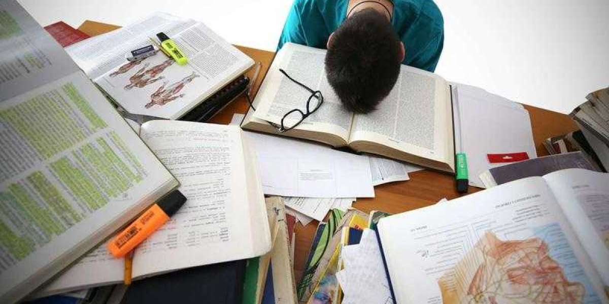 Купить диплом юриспруденции — оформление без стресса