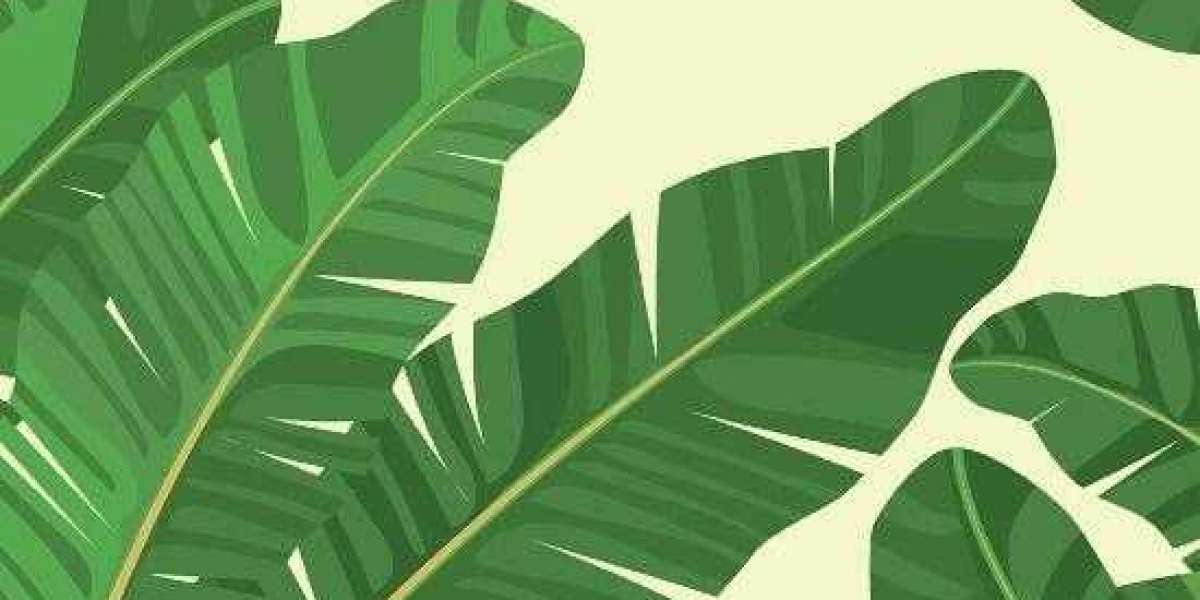 Bet Naija Account Opening This Year - Ultimate Winning Guide