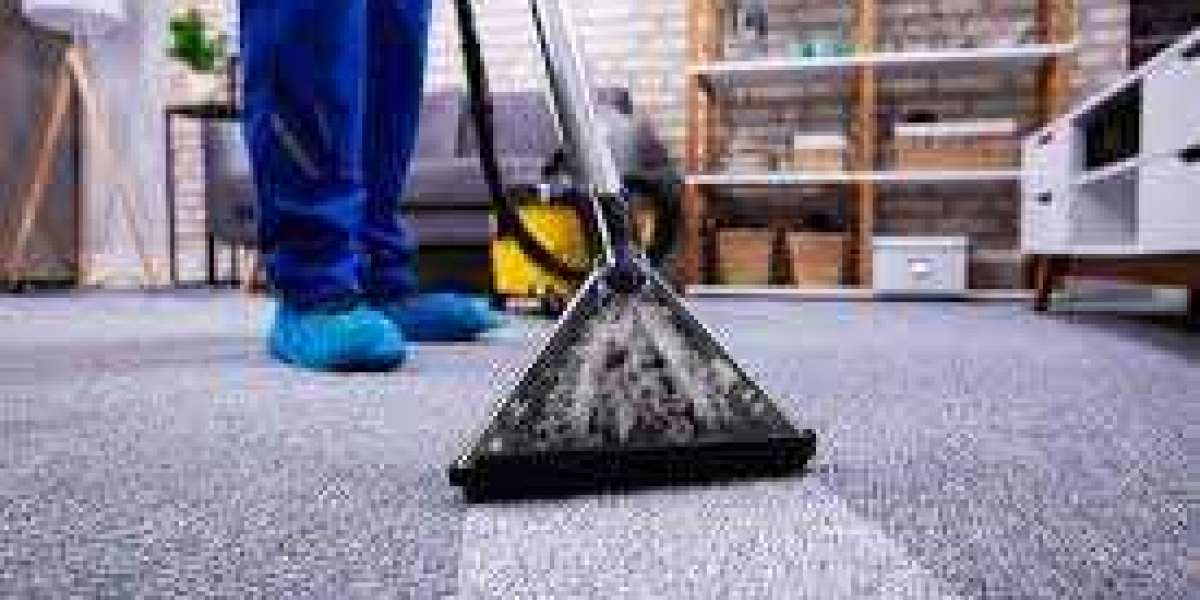 How Carpet Cleaning Services Support Fabric Floor Care
