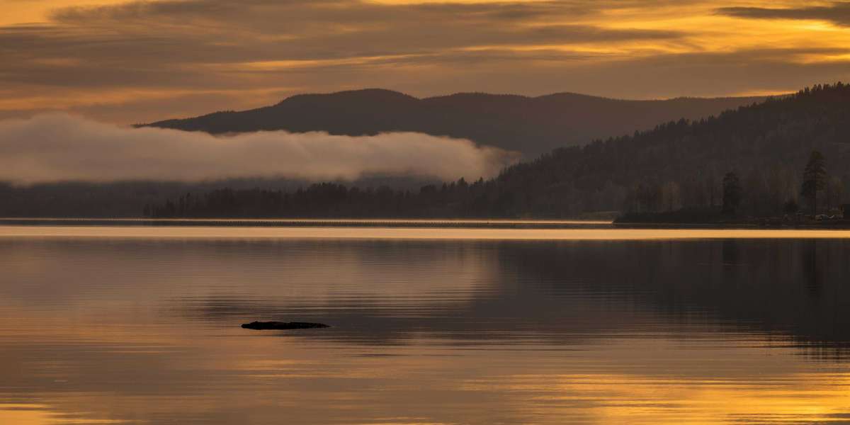 eznpc Tips for Trading Top POE1 Unique Items Fast