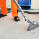 Allasted1980 profile picture