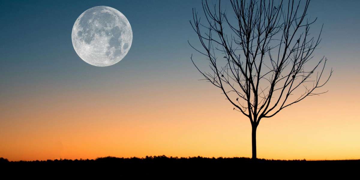 U4GM Budget Blood Boil Warlock Guide for D2R Season 13