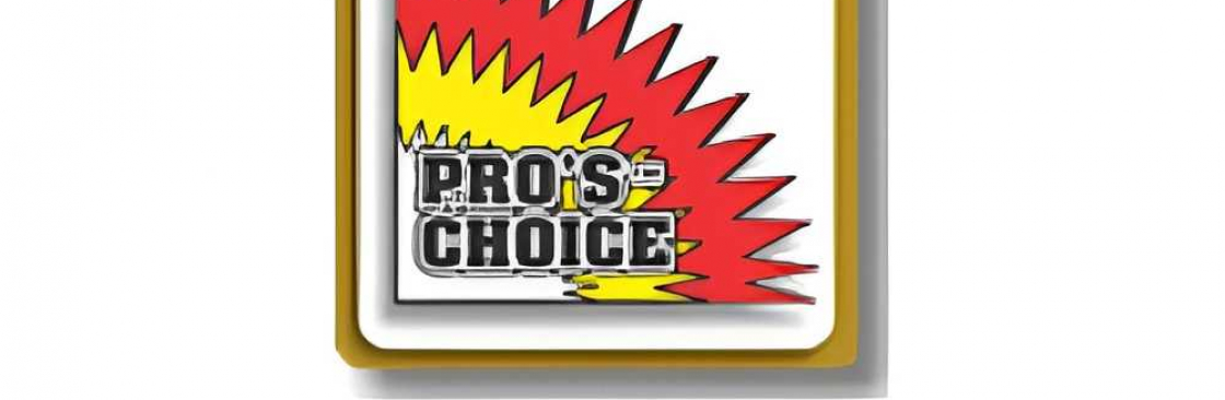 Pro Choice Cover Image