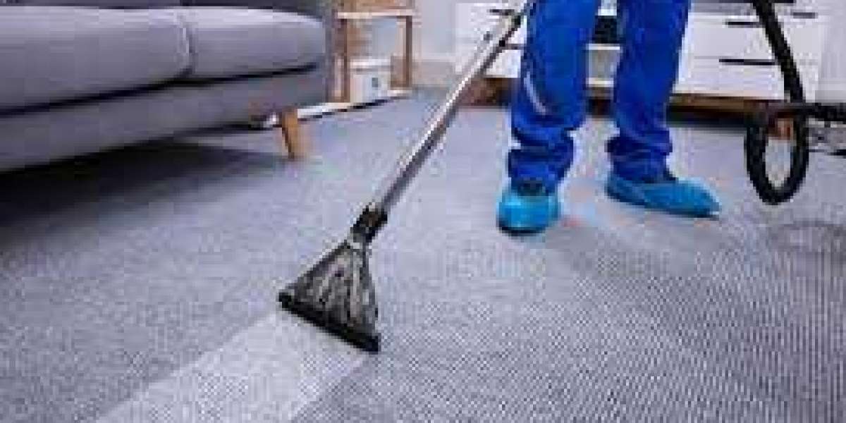 Home Hygiene Programs Often Include Carpet Cleaning Services