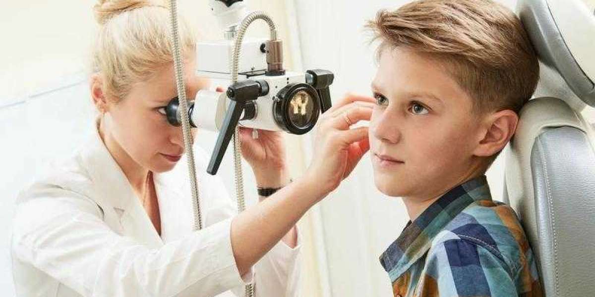 Легализация купленного диплома в ОАЭ: пошаговый гид