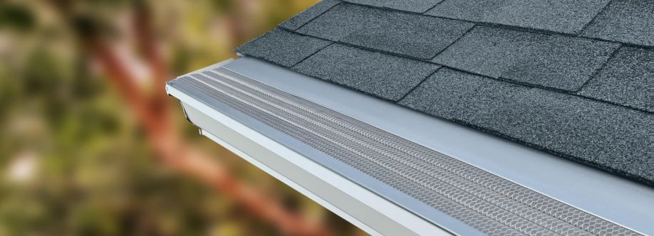 Gutters Unlimited Plus Cover Image