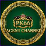 pk66 pk66 Profile Picture