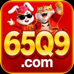 ne65q9