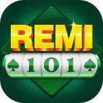 remi101 remi101