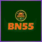 bn55 bn55 Profile Picture
