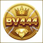 bv444 bv444