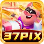 wo37pix