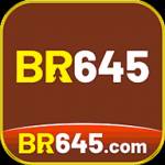 br645 br645