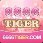 dm6666tiger