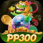 pp300b