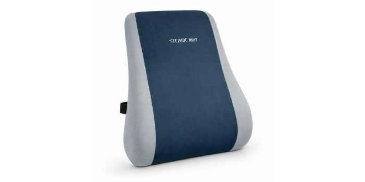 STERGIC Next Memory Foam Lumbar Support Back Cushion for Chair | Ergonomic Lumbar Pillow