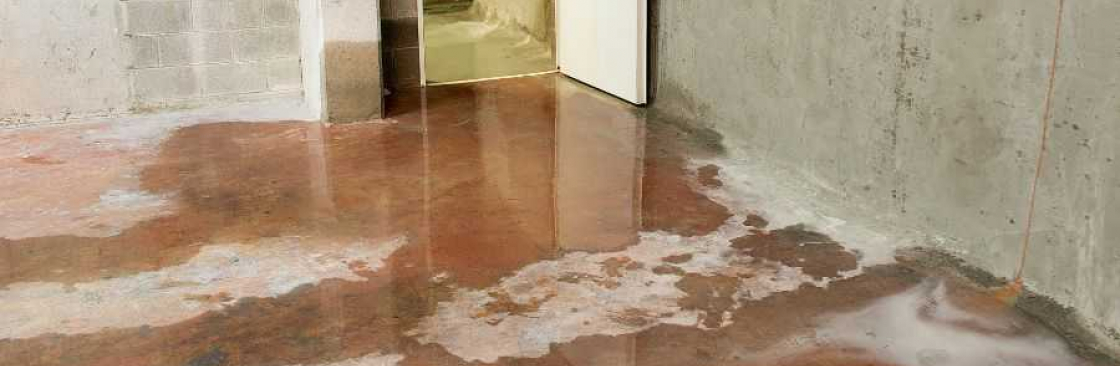 Water Damage Restoration Melbourne Cover Image