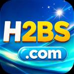 h2bszj