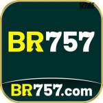 br757 br757 Profile Picture